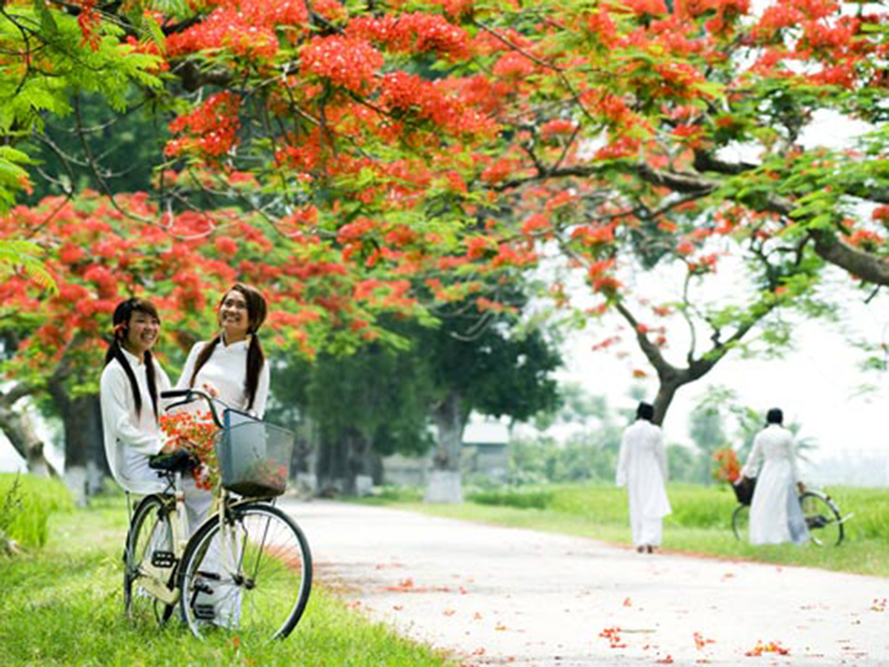 Chùm thơ của Nguyễn Thị Liễu (Thanh Hóa)